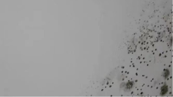 還在為墻體發(fā)霉而發(fā)愁？昆明涂料廠家教您學會這幾招，輕松解決！